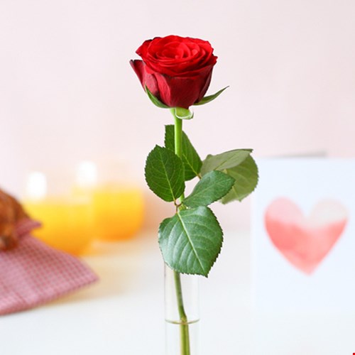 Verras je Valentijn met Bloompost